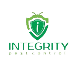 Logo Designing Specialist